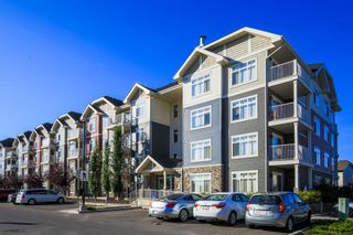 Photo 12: 6113 155 Skyview Ranch Way NE in Calgary: Skyview Ranch Apartment for sale : MLS®# A1259225