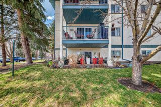 Photo 36: 118 20 Dover Point SE in Calgary: Dover Apartment for sale : MLS®# A2124249