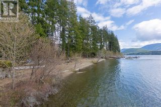 Photo 64: 7420 Cottage Way in Lake Cowichan: House for sale : MLS®# 960094