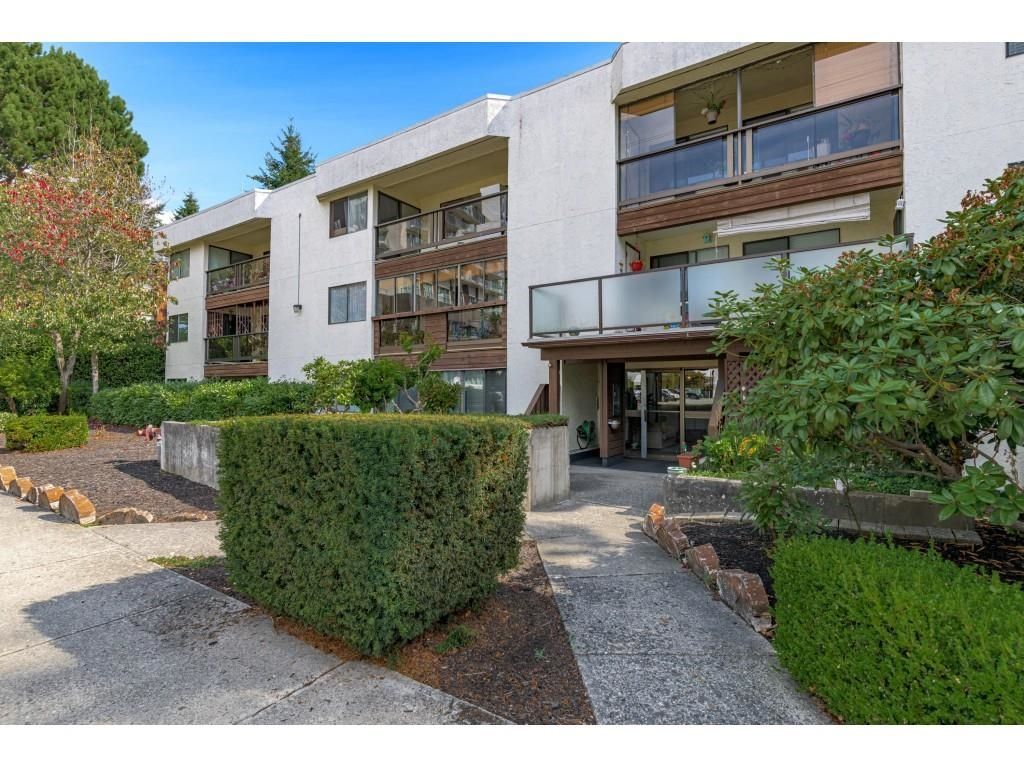 Main Photo: 206 1526 GEORGE STREET: White Rock Condo for sale (South Surrey White Rock)  : MLS®# R2618182
