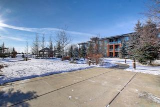 Photo 32: 323 2727 28 Avenue SE in Calgary: Dover Apartment for sale : MLS®# A1167342