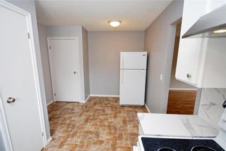 Photo 9: 123 Paddington Road in Winnipeg: River Park South Residential for sale (2F)  : MLS®# 202119787