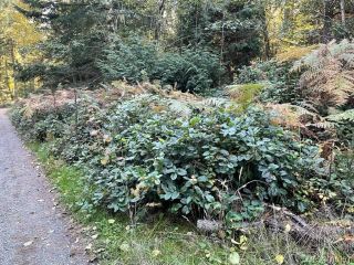 Photo 19: 431 Southern Edge Rd in Thetis Island: Isl Thetis Island Land for sale (Islands)  : MLS®# 900353