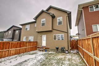 Photo 33: 867 Carrington Boulevard NW in Calgary: Carrington Semi Detached (Half Duplex) for sale : MLS®# A2089585