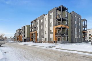 Photo 19: 1410 1317 27 Street SE in Calgary: Albert Park/Radisson Heights Apartment for sale : MLS®# A2031367