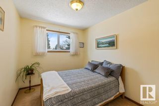 Photo 20: 3616 110 Street in Edmonton: Zone 16 House for sale : MLS®# E4331590
