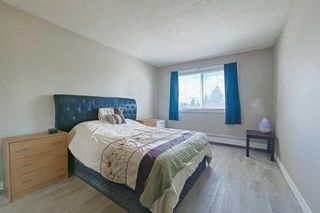 Photo 15: 317 333 Garry Crescent NE in Calgary: Greenview Apartment for sale : MLS®# A2142889