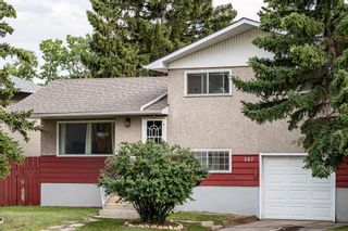 Photo 1: 107 Blackthorn Road NE in Calgary: Thorncliffe Detached for sale : MLS®# A1244650