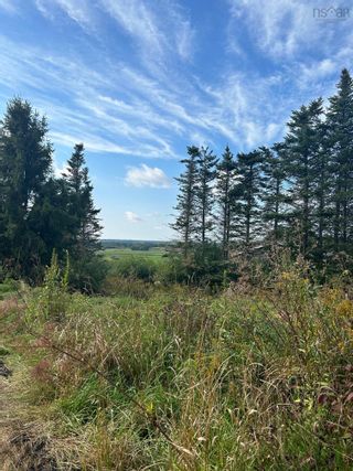Photo 2: VL No. 2 Highway in Fenwick: 102S-South of Hwy 104, Parrsboro Vacant Land for sale (Northern Region)  : MLS®# 202318736