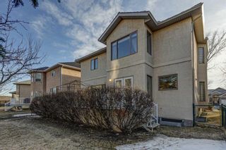 Photo 46:  in Calgary: Royal Oak Detached for sale : MLS®# A1083162
