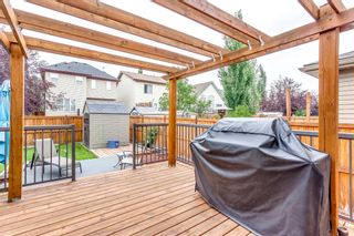 Photo 39: 818 Copperfield Boulevard SE in Calgary: Copperfield Detached for sale : MLS®# A1242431