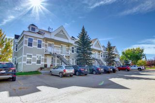 Photo 42: 125 103 Strathaven Drive: Strathmore Apartment for sale : MLS®# A2015291