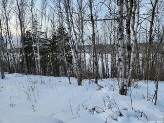 Photo 21: Lakeview Rec Lot in Barrier Valley: Lot/Land for sale (Barrier Valley Rm No. 397)  : MLS®# SK914625