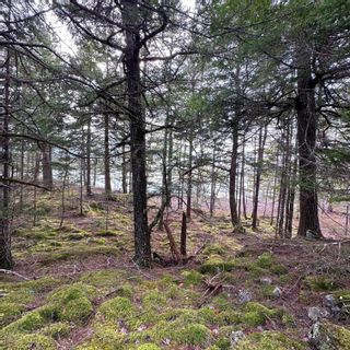 Photo 14: Lot 38 Sand Cove Road in Westfield: 406-Queens County Vacant Land for sale (South Shore)  : MLS®# 202404708
