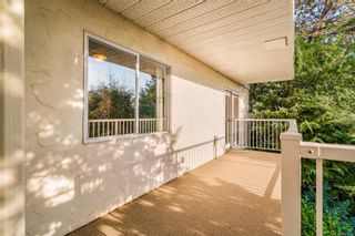 Photo 41: 55 King George Terr in Oak Bay: OB Gonzales House for sale : MLS®# 917322