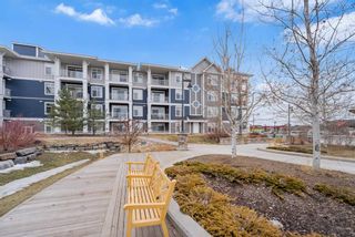 Main Photo: 207 500 Auburn Meadows Common SE in Calgary: Auburn Bay Apartment for sale : MLS®# A2116504
