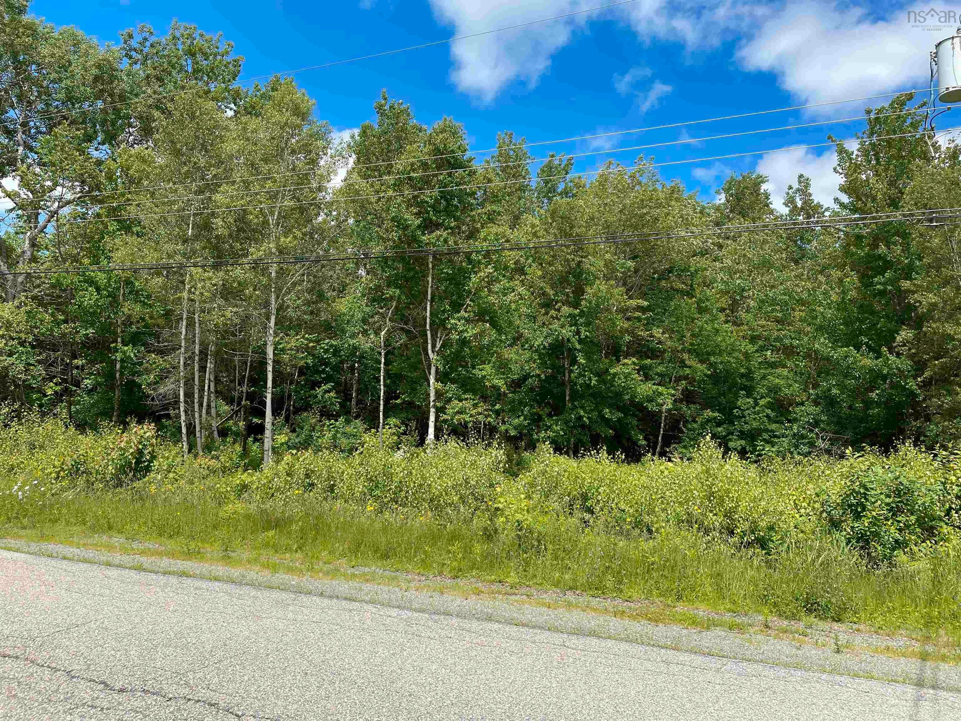 Main Photo: Lot 22-1 Pleasant Drive in Lyons Brook: 108-Rural Pictou County Vacant Land for sale (Northern Region)  : MLS®# 202215225