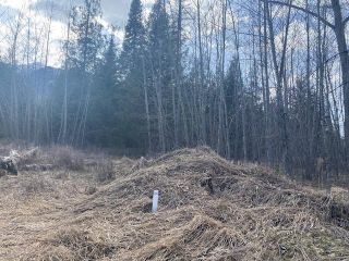 Photo 4: B - Lot 54 COKATO ROAD in Fernie: Vacant Land for sale : MLS®# 2476296