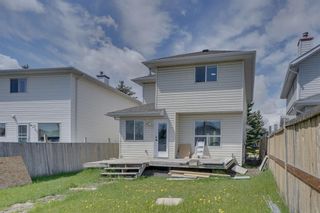 Photo 46: 215 Coral Springs Circle NE in Calgary: Coral Springs Detached for sale : MLS®# A2136038