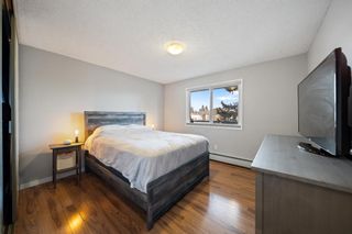 Photo 8: 406 617 56 Avenue SW in Calgary: Windsor Park Apartment for sale : MLS®# A1196065