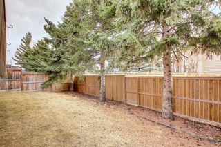 Photo 46: 336D Silvergrove Place NW in Calgary: Silver Springs Detached for sale : MLS®# A1199863