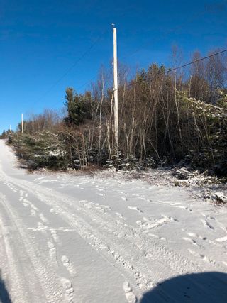 Photo 2: Lot 5 Lakeview Drive in Lake La Rose: Annapolis County Vacant Land for sale (Annapolis Valley)  : MLS®# 202300542