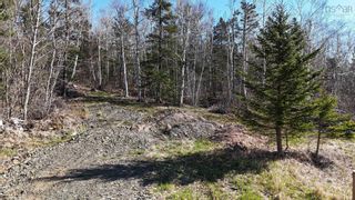 Photo 6: 2596 Highway 1 in Upper Clements: Annapolis County Vacant Land for sale (Annapolis Valley)  : MLS®# 202408290