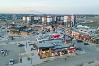 Photo 45: 21 Cityscape Avenue NE in Calgary: Cityscape Detached for sale : MLS®# A2048700