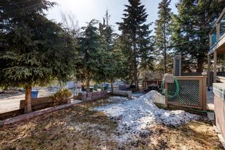 Photo 36: 584 Silvergrove Drive NW in Calgary: Silver Springs Detached for sale : MLS®# A2040189