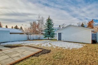 Photo 43: 35 Sunmills Court SE in Calgary: Sundance Detached for sale : MLS®# A2009462