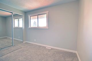 Photo 22: 36 Pinelore Place NE in Calgary: Pineridge Semi Detached (Half Duplex) for sale : MLS®# A2006468