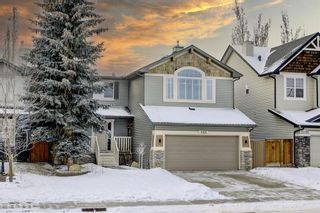 Photo 40: 123 Chapala Drive SE in Calgary: Chaparral Detached for sale : MLS®# A2014612