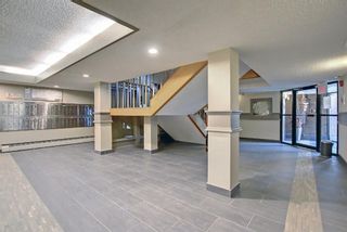 Photo 24: 327 820 89 Avenue SW in Calgary: Haysboro Apartment for sale : MLS®# A1170010