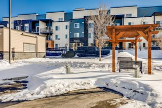 Photo 1: 4402 1317 27 Street SE in Calgary: Albert Park/Radisson Heights Apartment for sale : MLS®# A2031009
