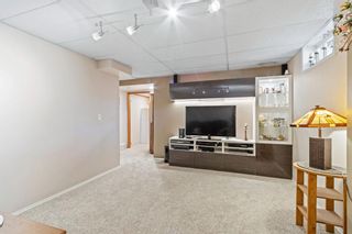 Photo 28: 152 Bermuda Way NW in Calgary: Beddington Heights Detached for sale : MLS®# A1233138