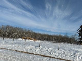 Photo 6: RR 222 Twp Rd 584: Rural Thorhild County Vacant Lot/Land for sale : MLS®# E4370854
