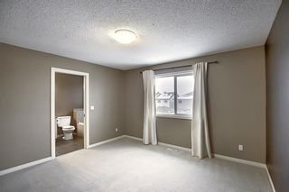 Photo 19: 50 Skyview Point Link NE in Calgary: Skyview Ranch Semi Detached for sale : MLS®# A1039930