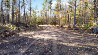 Photo 15: Lot 4 Harbour Acres Road in Molega: Vacant Land for sale : MLS®# 202324055