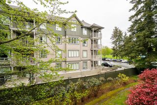 Photo 33: 211 5465 201 Street in Langley: Langley City Condo for sale in "Briarwood" : MLS®# R2878971