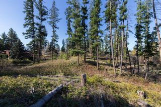 Photo 11: 3281 Hall Road, in Kelowna: Vacant Land for sale : MLS®# 10268856