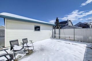 Photo 19: 240 erin meadow Green in Calgary: Erin Woods Detached for sale : MLS®# A2003999