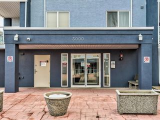 Photo 34: 3208 2280 68 Street NE in Calgary: Monterey Park Apartment for sale : MLS®# A1076085