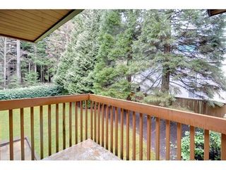 Photo 8: 5635 NANCY GREENE Way in North Vancouver: Home for sale : MLS®# V939486