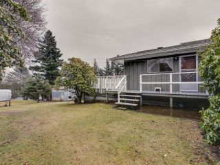 Photo 39: 7706 HORNE Street in Mission: Mission BC House for sale : MLS®# R2745316