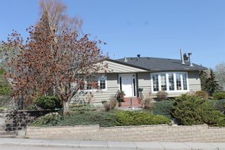 Photo 3: 1303 Hamilton Street NW in Calgary: St Andrews Heights Detached for sale : MLS®# A2047660
