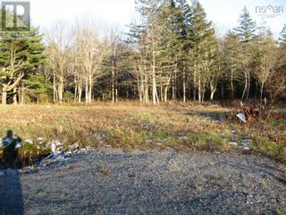 Photo 6: Lot Highway 3 in Port Mouton: Vacant Land for sale : MLS®# 202226481