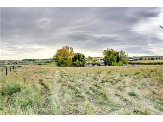Photo 8: 386141 2 Street E: Rural Foothills M.D. House for sale : MLS®# C4081812