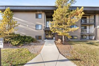 Photo 1: 223 6108 53 Street: Olds Apartment for sale : MLS®# A2094155