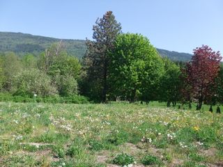 Main Photo: 5441 73 Avenue in Salmon Arm: Land Only for sale : MLS®# 10111492