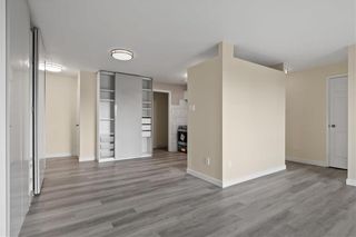Photo 11: 402 175 Pulberry Street in Winnipeg: Pulberry Condominium for sale (2C)  : MLS®# 202324537
